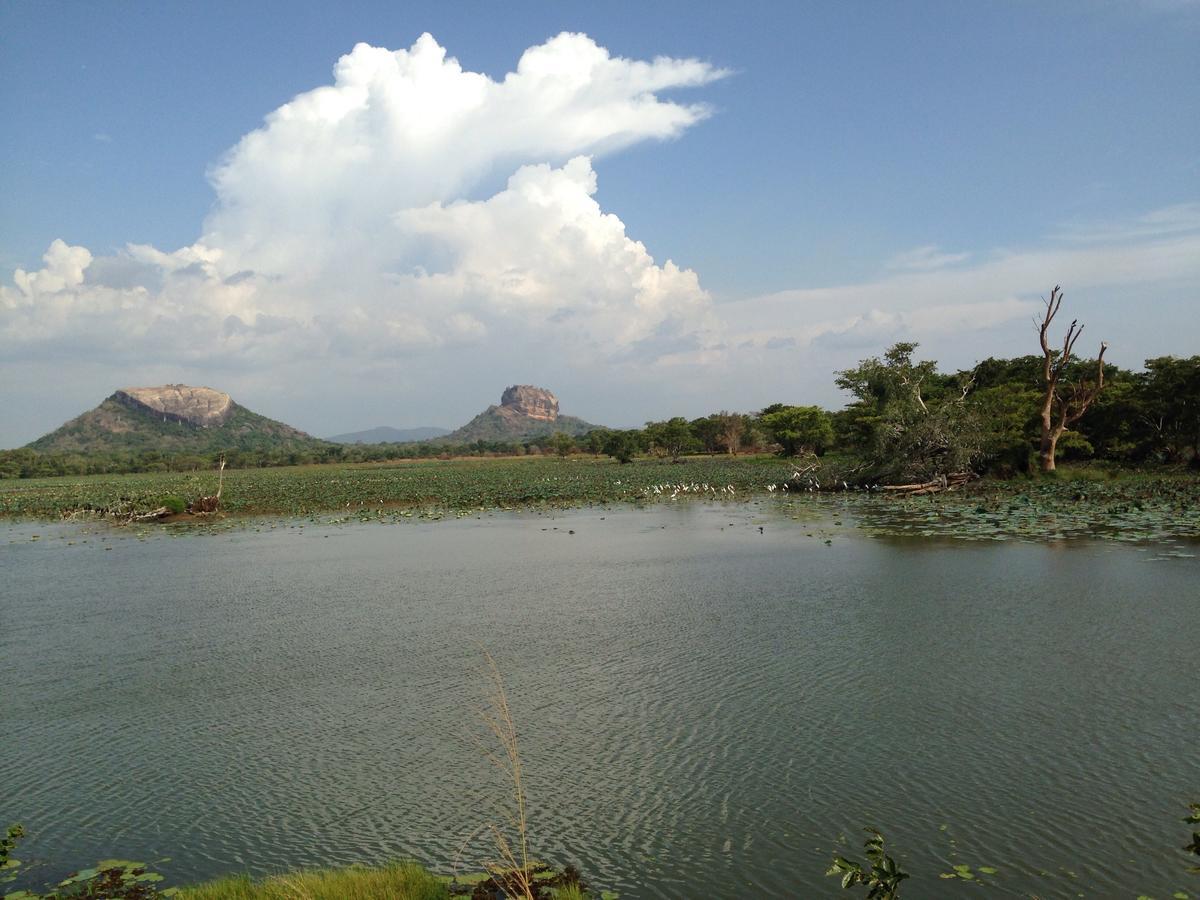 Mowgli Cottage Sigiriya Eksteriør bilde